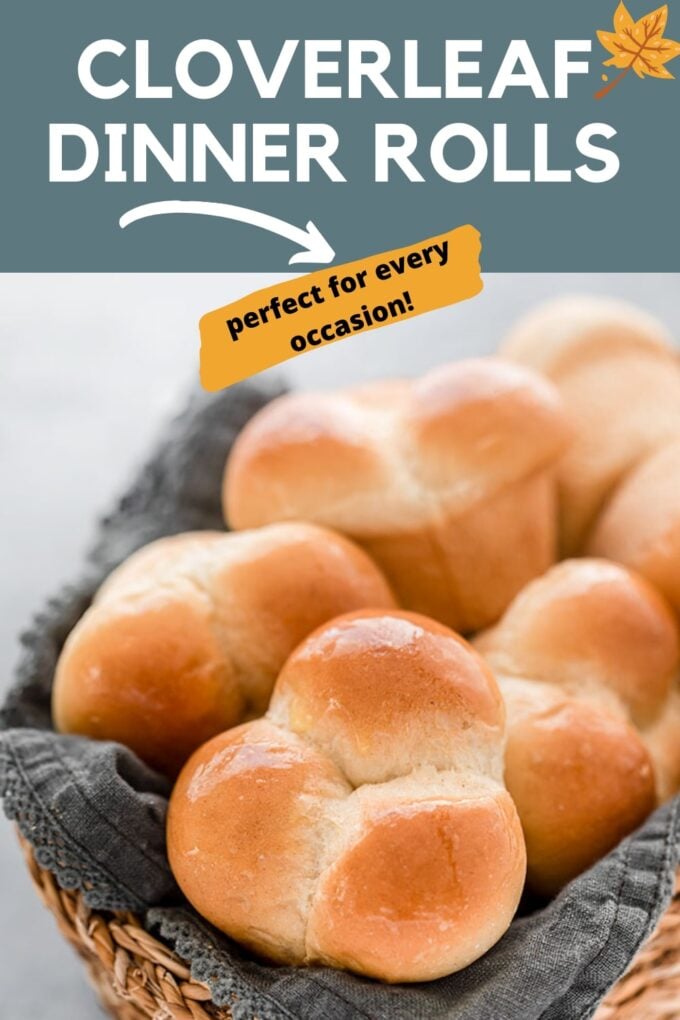 Cloverleaf Dinner Rolls